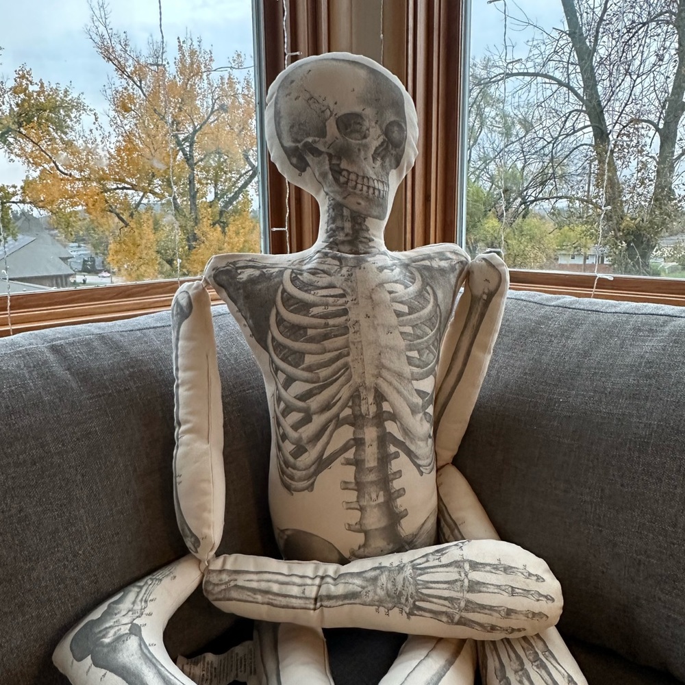 John Derian Threshold skeleton pillow